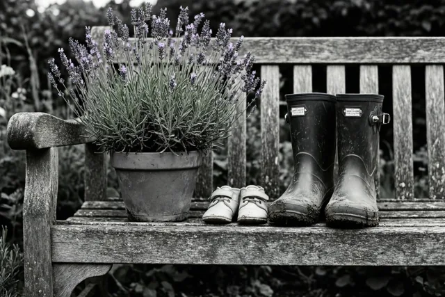 Een zwart-witfoto toont een houten tuinbank met babyschoentjes, modderige tuinklompen en een pot lavendel die zijn paarse kleur behoudt.