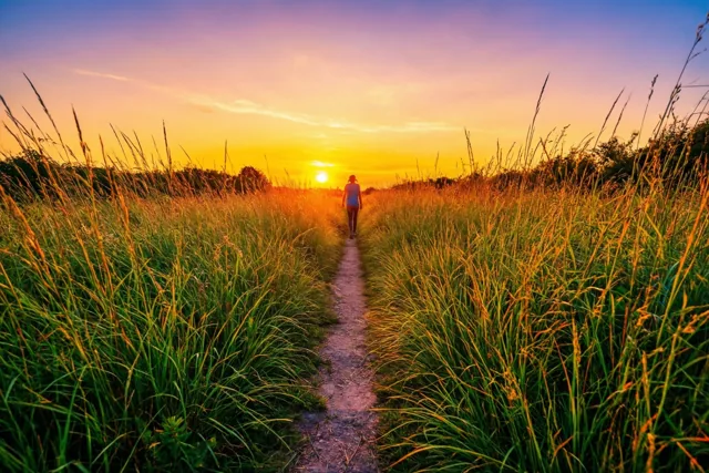 Een kleine figuur loopt over een onverhard pad door hoog gras naar een zonsondergang in gouden en paarse tinten.