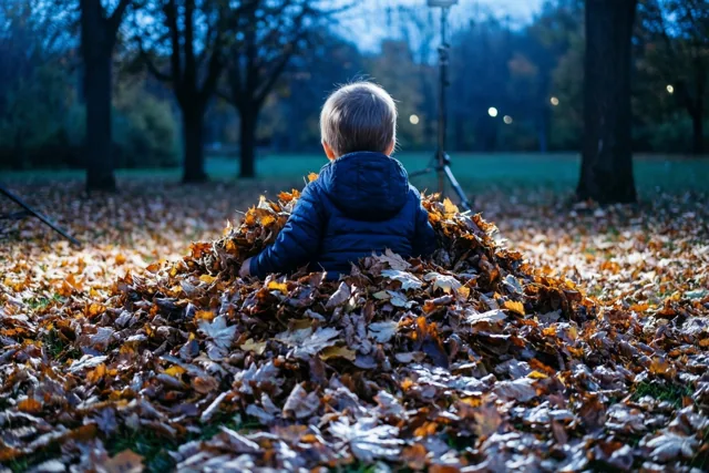 Een peuter zit met de rug naar de camera tot aan het middel in een grote hoop herfstbladeren in een park, met goudkleurig licht op de bladeren en koele blauwe tinten erachter.