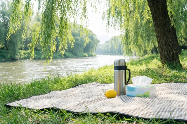 Een picknickdeken met een roestvrijstalen thermos, een doos zakdoekjes en een gele citroen ligt op een zonnige grasoever onder treurwilgen bij een kalme rivier.