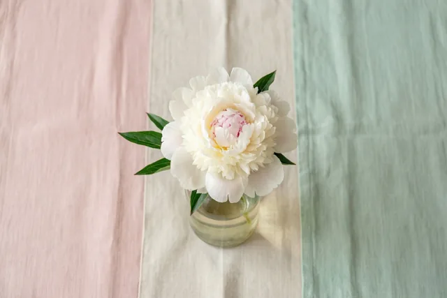 Een witte pioenroos met een roze hart staat in een doorzichtige fles op driekleurig linnen, in een tafereel met pastelroze, crème en mintgroen.