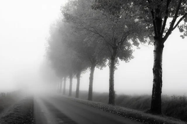 Langs de weg van herinneringen