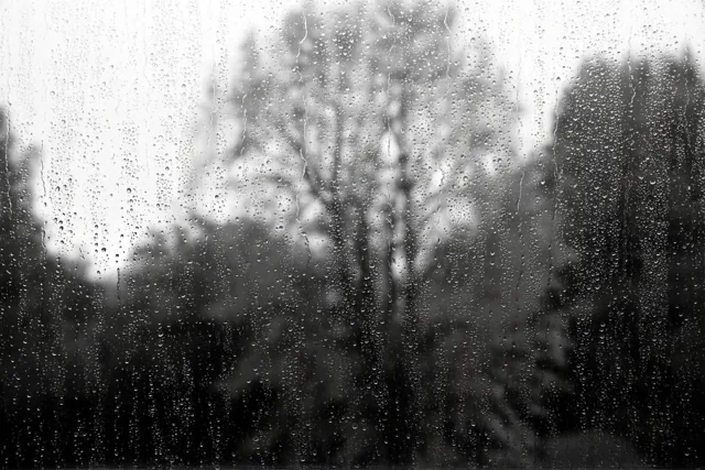 Regendruppels trekken strepen over een raam met wazige herfstbomen erachter in een monochroom beeld.