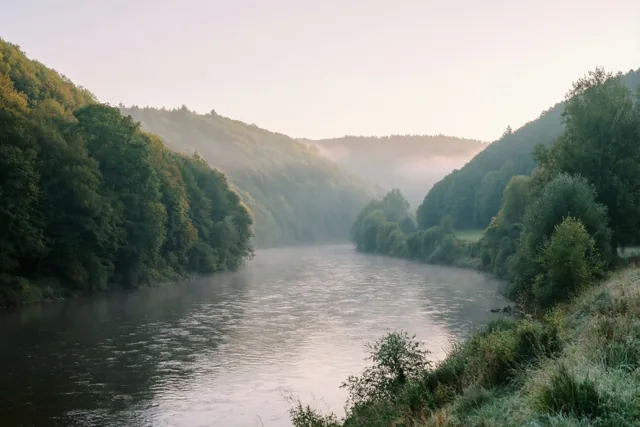 Een kronkelende rivier stroomt tussen beboste heuvels in de ochtendmist, met groen gebladerte en zachte grijze en lichtgele tinten.