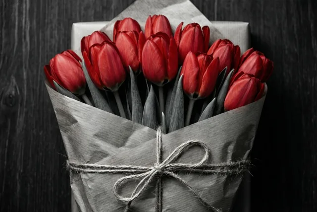 Rode tulpen als kerstgroet