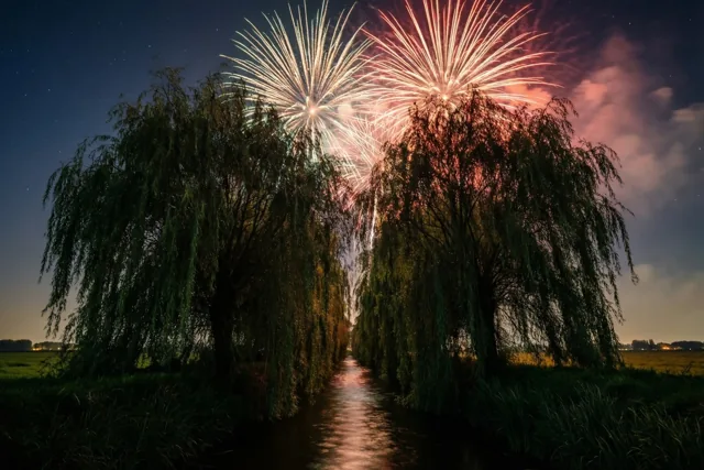 Een stralend jaar in de polder