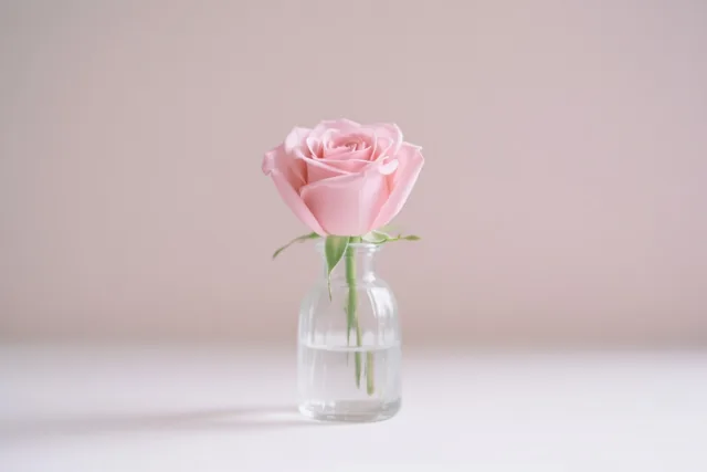 Een roze roos staat in een klein helder glazen vaasje met water op een wit oppervlak tegen een zachtroze achtergrond.