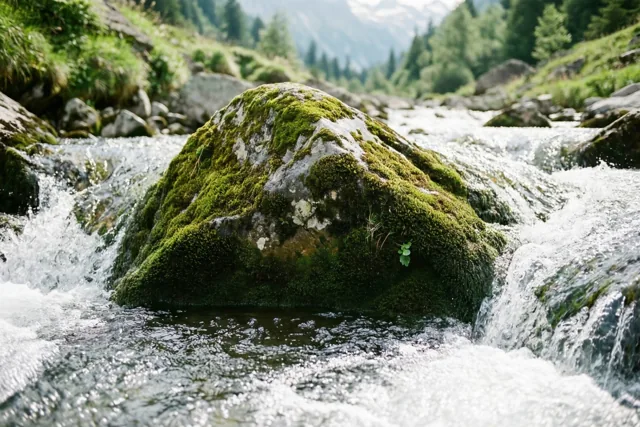 Een groot bemost rotsblok ligt midden in een snelstromende bergbeek in een groene vallei, met bergen in de verte.