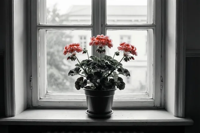 Bloemen voor jouw geduld