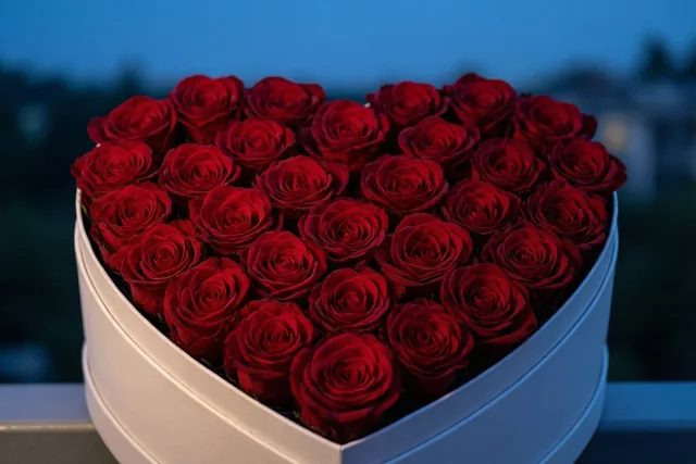 Rozen voor mijn allerliefste
