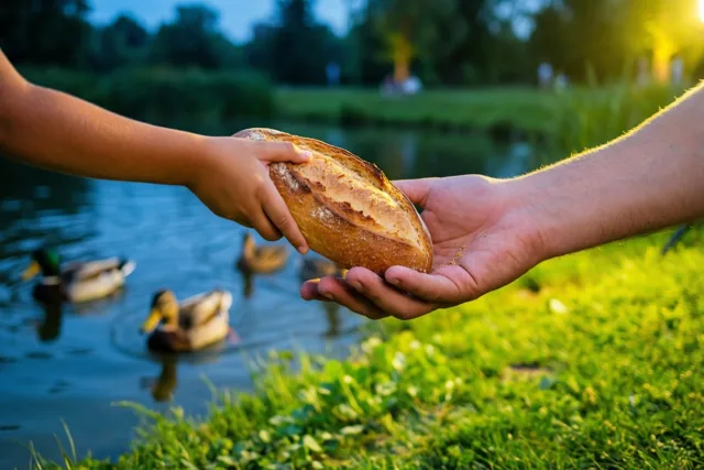 Een kleine en een grote hand houden samen een brood boven een vijver met zwemmende eenden, in een park met groen gras en bomen in het gouden avondlicht.