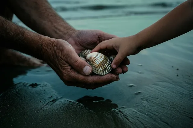 Een verweerde volwassen hand en een kleine kinderhand houden samen schelpen vast boven donker, nat zand bij laagwater, in koele tinten.