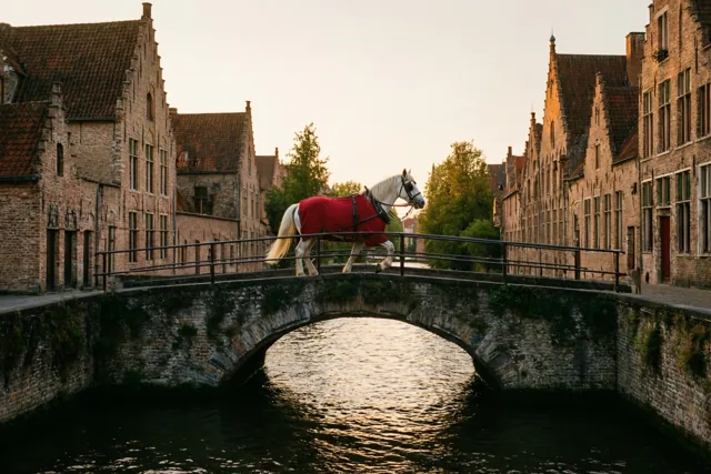 Een wit paard met een rode deken steekt bij schemering een stenen brug over in een oud Vlaams stadje, met bakstenen gebouwen langs het kanaal in goudkleurig licht.