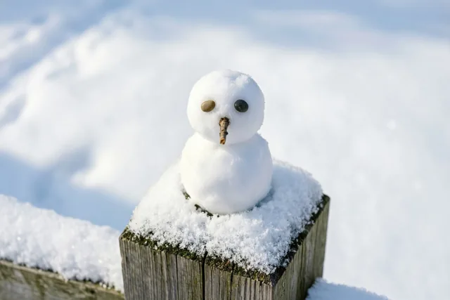 Een kleine sneeuwman met steentjes als ogen en een takje als neus zit op een besneeuwde houten omheiningspaal tegen een onscherpe winterachtergrond.