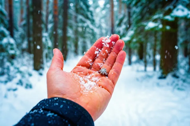 Een komvormig geopende hand met een verlovingsring in de vorm van een sneeuwvlok vangt vallende sneeuw in een bos in blauwe en witte tinten.