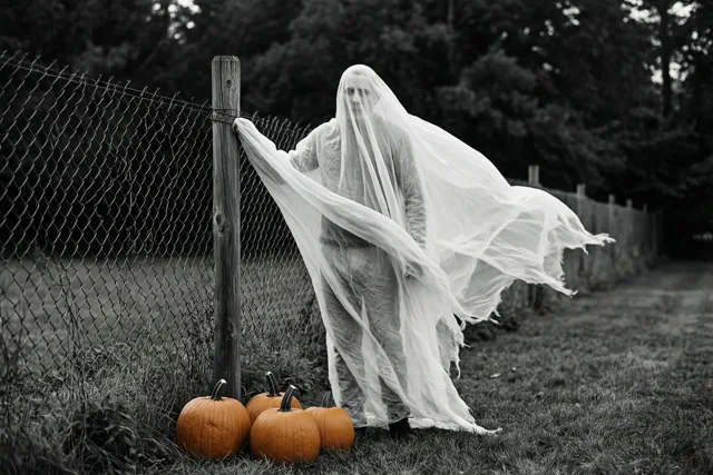 Een persoon in een wit spooklaken houdt het wapperende laken vast naast een gaashek, met pompoenen in het gras en bomen op de achtergrond.