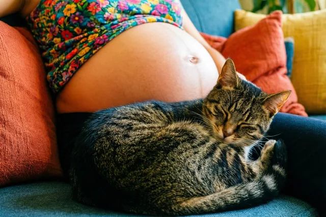 Samen wachten op de baby
