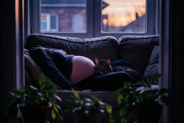 De kat houdt je gezelschap