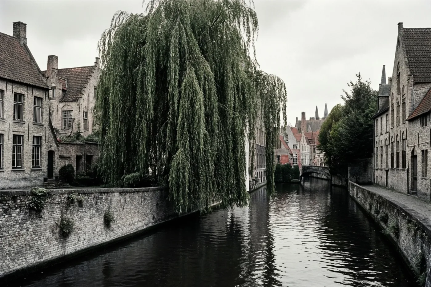 Een treurwilg hangt boven het donkere water van een rustig kanaal tussen oude bakstenen gebouwen in een Vlaams stadje, onder een bewolkte hemel.