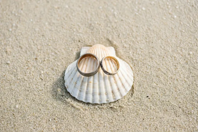Schelpen bewaren jullie liefdesverhaal