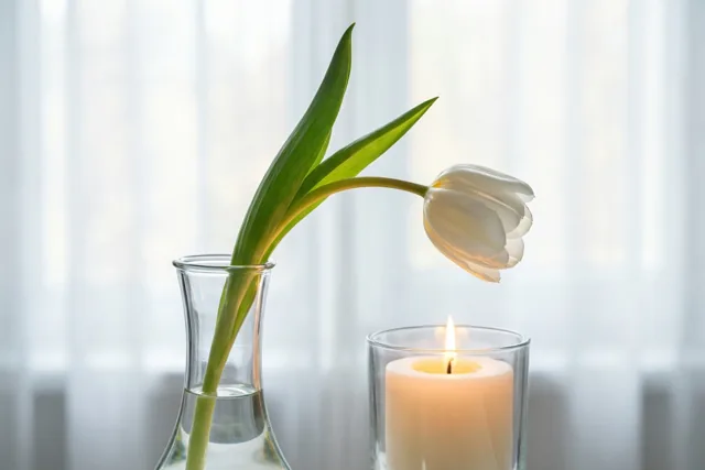 Een gebogen witte tulp staat in een smalle glazen vaas naast een brandende witte kaars in een glazen houder, met een zacht verlicht wit gordijn onscherp op de achtergrond.