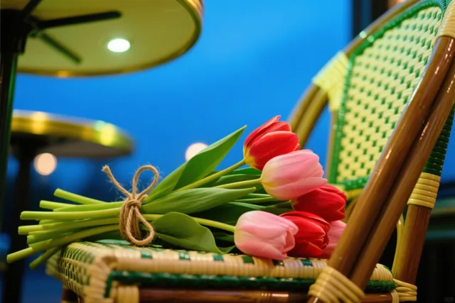 Tulpen voor mijn lief