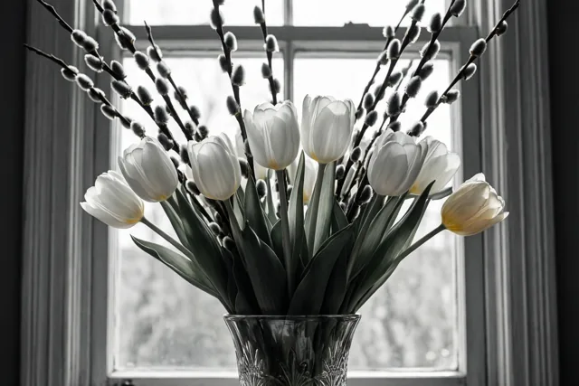 Een stille lente met tulpen