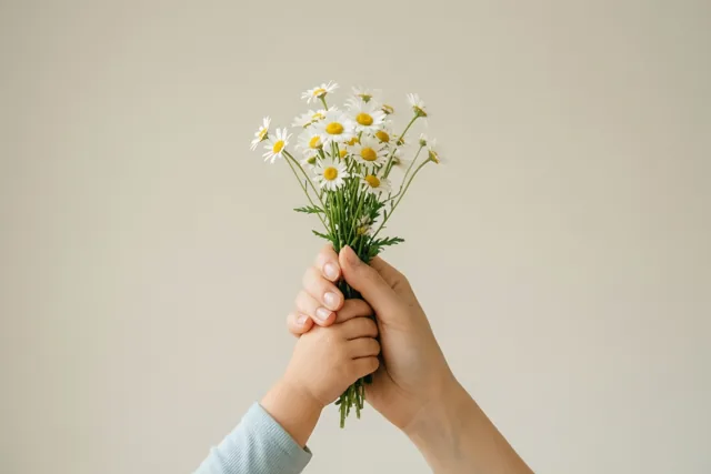 Een volwassen hand en een kinderhand houden samen een bosje witte madeliefjes met gele hartjes vast tegen een effen beige achtergrond.