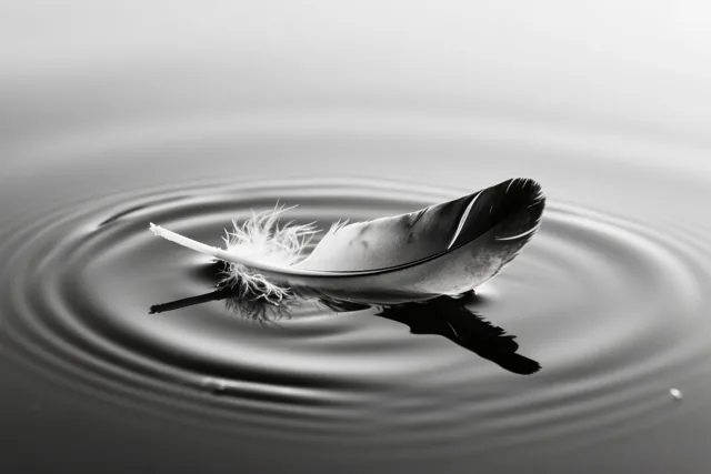 Een veer drijft op stil water met zachte, cirkelvormige rimpelingen eromheen, in zwart-, wit- en grijstinten.
