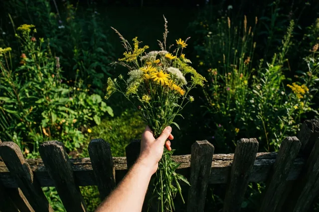Een hand houdt een boeket veldbloemen over een verweerde houten schutting, met een weelderige groene tuin op de achtergrond in warm zonlicht.