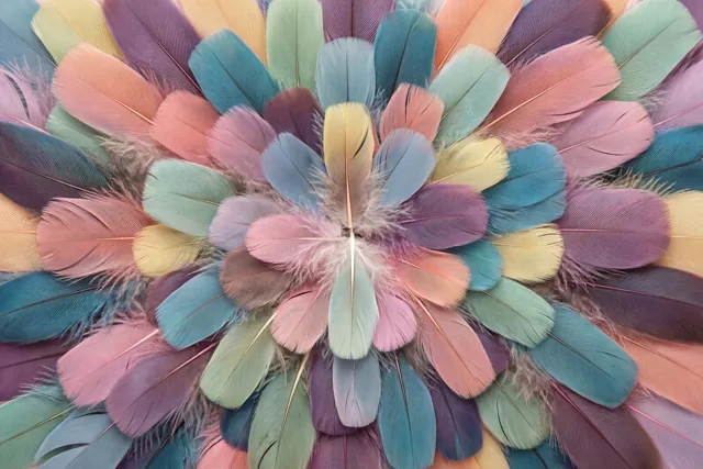 Pastelroze, blauwgroene en gele veren liggen in een dicht patroon dat op een bloem lijkt.