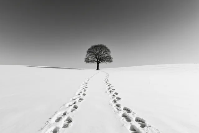 Onze weg door de sneeuw