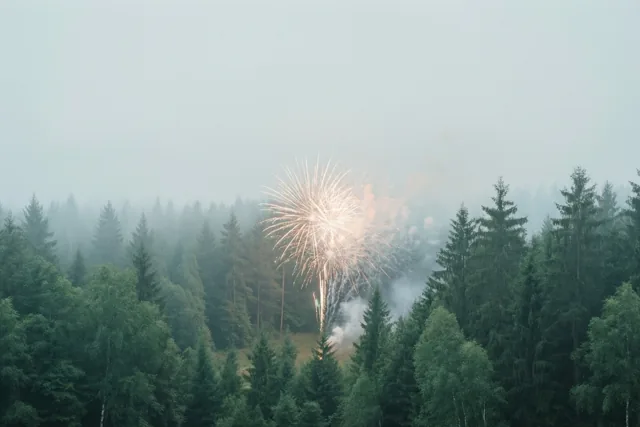 Het warme licht van vuurwerk schijnt door een dicht, mistig bos van groenblijvende bomen in gedempte groene en grijze tinten.