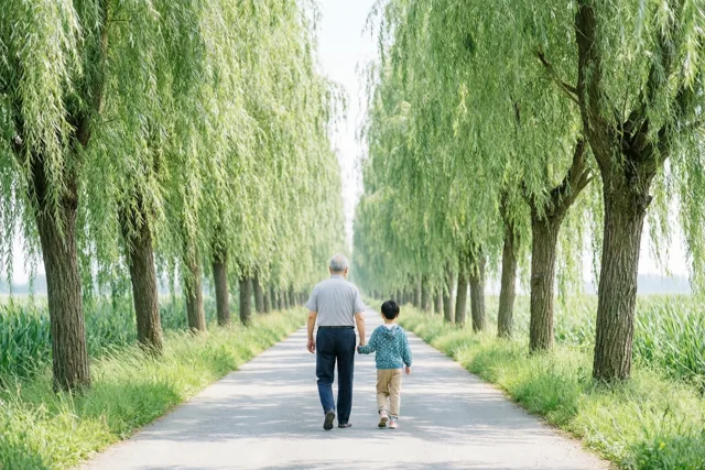Een oudere man en een klein kind wandelen hand in hand over een verhard pad met treurwilgen, van achteren gezien in helder daglicht met weelderig groen en een heldere hemel.