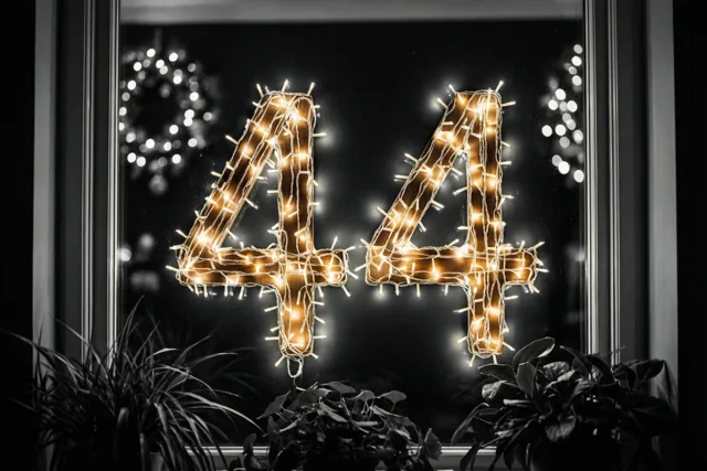 Warme lichtjes vormen 44 tegen een donkere achtergrond in een raam met planten op de voorgrond, waarbij de gloed afsteekt tegen het zwart-witte beeld.