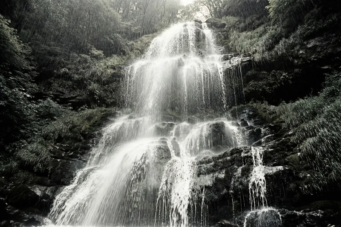 Een waterval stroomt tijdens de regen over bemoste rotsen in een dicht bos, weergegeven in zwart-wit.