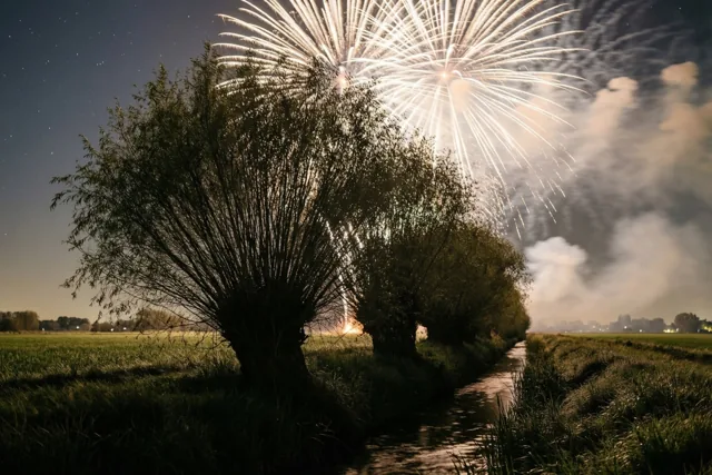 Knotwilgen staan als silhouetten langs een poldersloot in een landelijk veld, onder een sterrenhemel met helder wit vuurwerk en donkerblauwe en donkergroene tinten.