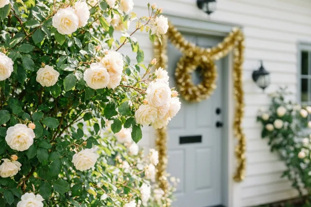 Jullie huis viert mee