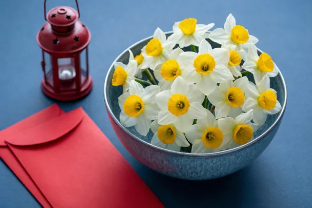 Frisse bloemen, warme wensen
