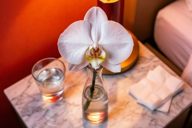 Een orchidee als beterschapswens