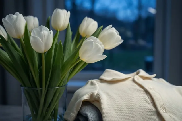 Witte tulpen voor nieuw geluk
