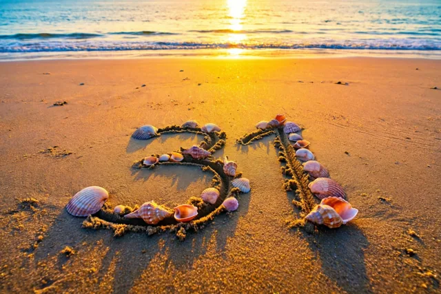 Een gouden stranddag voor 31