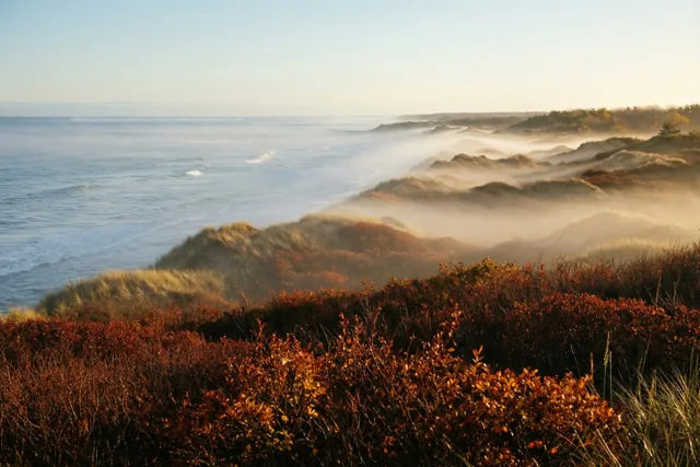 Bij het ochtendgloren trekt zeemist over golvende duinen met roestkleurige herfststruiken, met de zee in de verte in blauwe, oranje en bruine tinten.