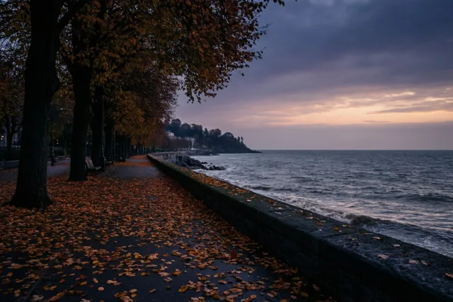 Een promenade vol gevallen herfstbladeren loopt langs een grijze zee onder een bewolkte schemerhemel, met links bomen met oranje en geel blad.