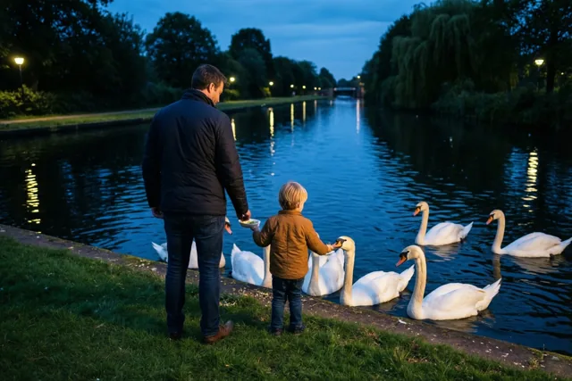 Een vader en jong kind voeren van achteren gezien zwanen vanaf een grasrijke kanaaloever bij schemering, met warme weerspiegelingen van lamplicht op het water.