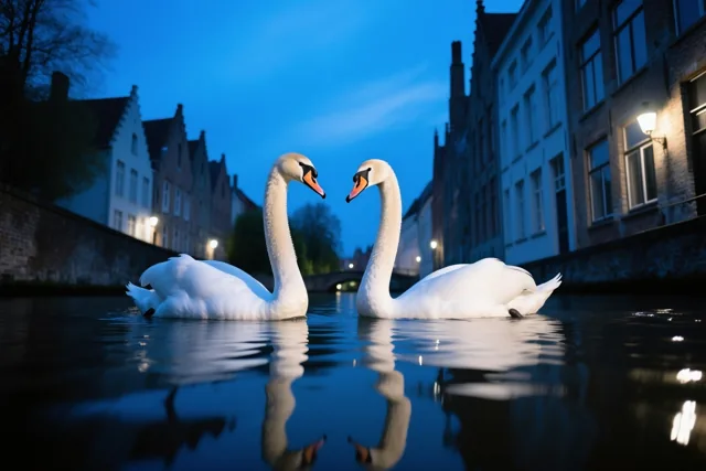 Samen drijven, samen danken