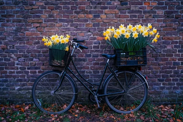 Twee manden vol lente